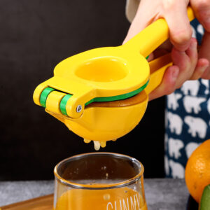 Fruit squeezer